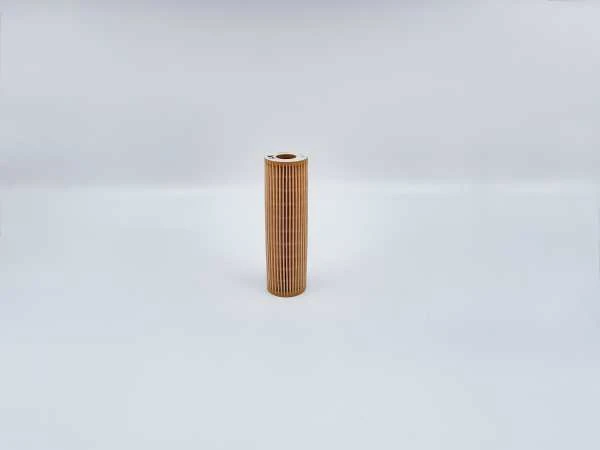 Фильтр масляный BIG FILTER GB1433   (вставка) 