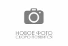 Оригинальное моторное масло Масло моторное Castrol POWER 1 4T 10W40 1л