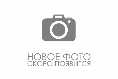 Оригинальное моторное масло Масло моторное Castrol POWER 1 4T 10W40 1л